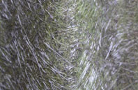 Rough Hay fibreglass roof work